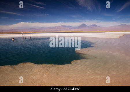 Laguna Cejar, salt water lagoon in the Atacama Desert, Salar De Atacama, San Pedro De Atacama, Antofagasta Region, Chile. Stock Photo