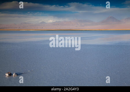 Tebinquinche Lagoon, salt flat, Salar de Atacama, San Pedro de Atacama, Chile. Stock Photo