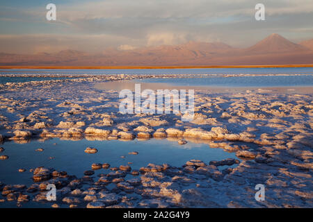 Tebinquinche Lagoon, Salar de Atacama, San Pedro de Atacama, Chile Stock Photo