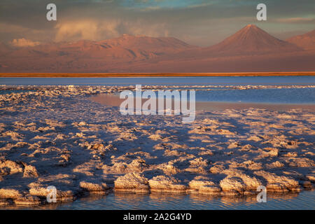 Tebinquinche Lagoon, Salar de Atacama, San Pedro de Atacama, Chile Stock Photo