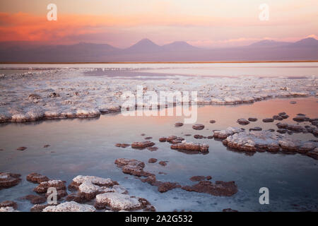 Tebinquinche Lagoon, Salar de Atacama, San Pedro de Atacama, Chile Stock Photo