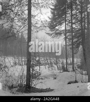 Ein Ausflug in ein Skigebiet in Bayern, Deutsches Reich 1930er Jahre. A trip to a Ski region in Bavaria, Germany 1930s. Stock Photo