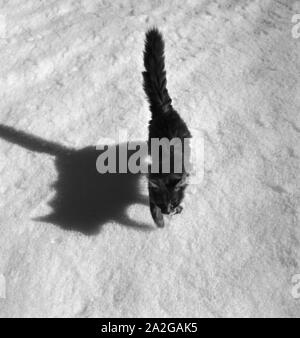 Ein Ausflug in ein Skigebiet in Bayern, Deutsches Reich 1930er Jahre. A trip to a Ski region in Bavaria, Germany 1930s. Stock Photo