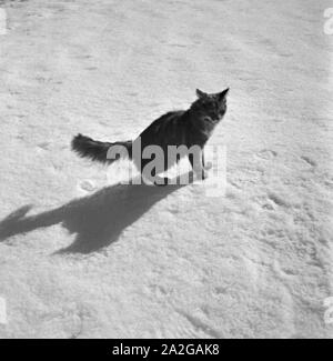 Ein Ausflug in ein Skigebiet in Bayern, Deutsches Reich 1930er Jahre. A trip to a Ski region in Bavaria, Germany 1930s. Stock Photo