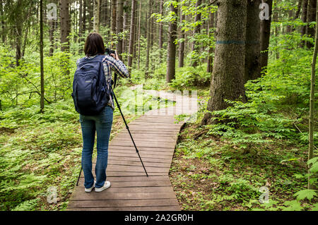 Photographer woman with a camera and a tripod standing on the ecological path and takes pictures of the spring forest. Stock Photo