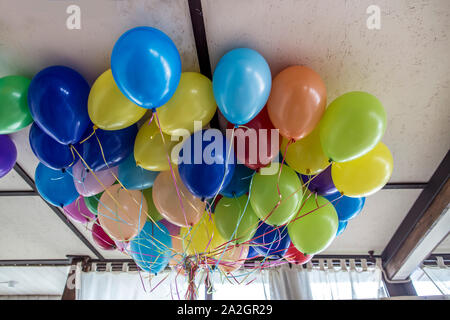 Beam of bright, beautiful balloons on the ceiling in the room. Stock Photo