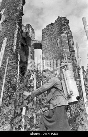 Winzer aus Beilstein bei der Arbeit im Weinberg, Deutschland 1930er Jahre. Winegrower at work in hnis vineyard near Beilstein, Germany 1930s. Stock Photo