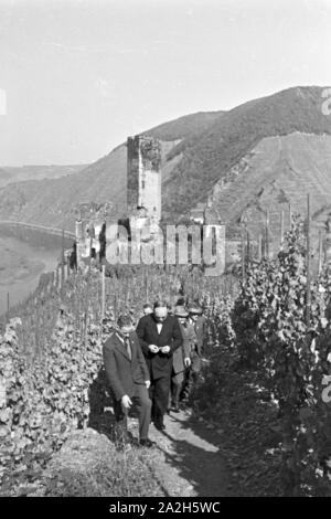 Winzer aus Beilstein bei der Arbeit im Weinberg, Deutschland 1930er Jahre. Winegrower at work in hnis vineyard near Beilstein, Germany 1930s. Stock Photo