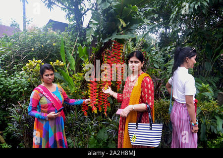 A lndian lady tourist, local lady holding Heliconia rostrata ( Lobster Claw Heliconia)  flowers in yellow and red color hanging down from the plant Stock Photo