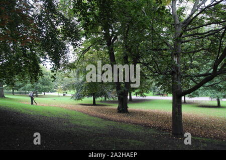 leaf blower in the park in Autumn Stock Photo