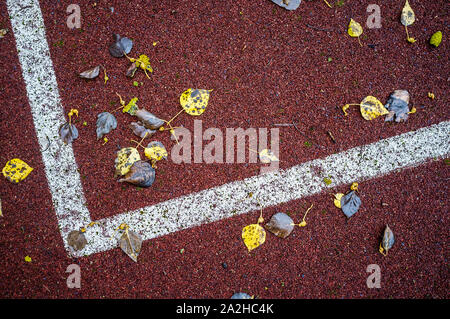 Fallen, yellow leaves lie on the artificial surface of the sports ground with markings. Stock Photo