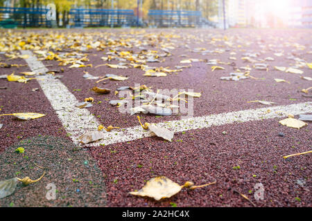 Fallen, yellow leaves lie on the artificial surface of the sports ground with markings, against the background of the stands. Stock Photo