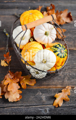 Autumn background with mini pumpkins in a basket on a rustic wooden table. Stock Photo