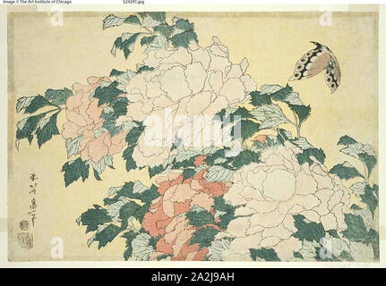 始祖蝶　Ancester’s Butterfly 【肉筆絵画】 Yayoi Kusama Butterfly, Kusama 82 (Signed Print) 1985 | For Sale