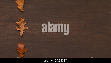 Frame of three dry oak leaves on wooden background Stock Photo