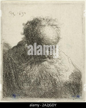 Bust of an Old Man with a Flowing Beard: The Head Bowed Forward: Left Shoulder Unshaded, 1630, Rembrandt van Rijn, Dutch, 1606-1669, Holland, Etching on paper, 80 x 76 mm (image), 92 x 77 mm (plate), 95 x 80 mm (sheet Stock Photo