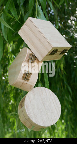 Three wooden boxes in the shape of a circle, heart and cube attached to the branches of the willow in the spring Stock Photo