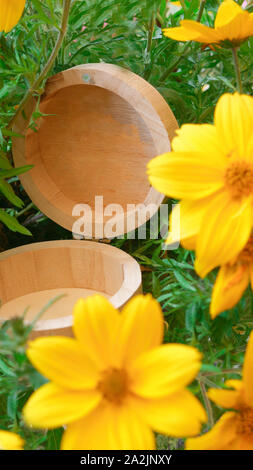 Open round wooden box surrounded by yellow flowers Stock Photo