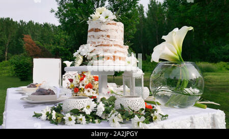 White decoration of the wedding table and a rustic cake in the spring garden. Stock Photo