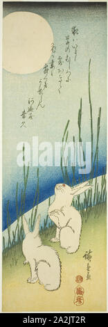 Rabbits under full moon. Utagawa Hiroshige ?? ??; Japanese