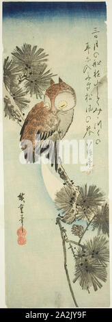 人気便利グッズ pine, owl, Small-horned and Hiroshige Utagawa moon. crescent その他