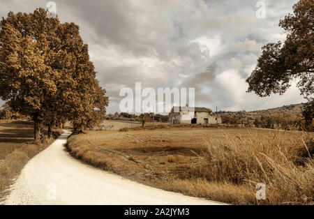 Countryside landscape, white road between the fields Stock Photo