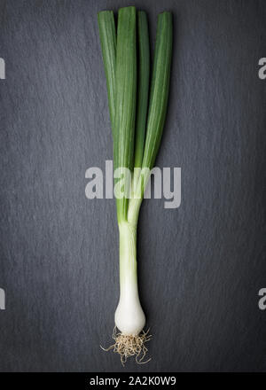 Premium Photo  Onion shallot on a black, dark background eating vegetables  and eating healthy eating shallots adding to various dishes, diversifying  food