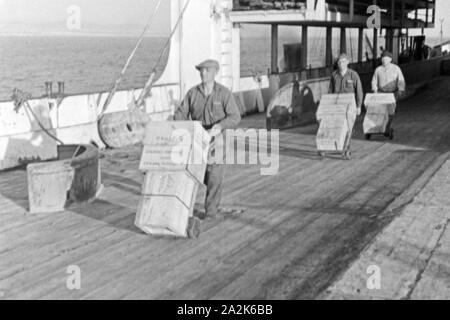 Die Männer des Fabrikschiffs 'Jan Wellem' bei ihrer Arbeit an Deck, 1930er Jahre. The crew of factory vessel 'Jan Wellem' working on deck, 1930s. Stock Photo