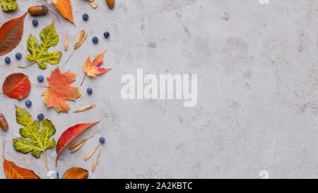 Colorful and creative flat lay of bright colored different leaves Stock Photo