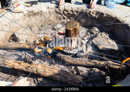 Szalonnasutes (outdoor roasting fatty bacon and frankfurter on skewer) over glowing smoldering smouldering wood logs in Sopron, Hungary Stock Photo
