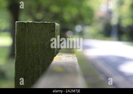 A mossy wooden fence post. Stock Photo