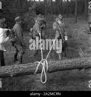 Original-Bildunterschrift: Beseitigen einer Baumsperre durch einen Pioniertrupp, Deutschland 1940er Jahre. Eliminating a trunk barricade, Germany 1940s. Stock Photo