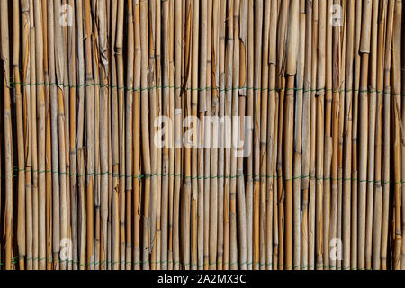 Fence of bamboo sticks fastened with wire Stock Photo