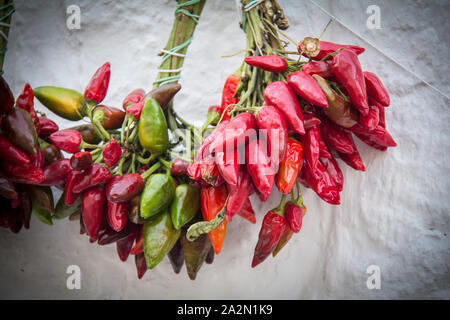 Italian fresh Red Hot Chili Peppers, Italy Stock Photo