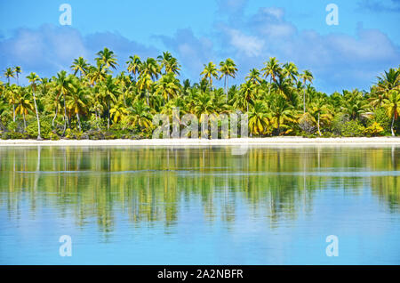 Coconut palms reflected in the waters of the lagoon of Anaa atoll, French Polynesia Stock Photo