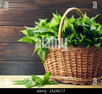 Wicker of nettle fresh plant on wooden table on rustic background, Urtica dioica is a polyvitaminic dietary food and a cosmetics ingredient, closeup, Stock Photo