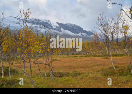 Autumn colours in Norway, Troms county Stock Photo