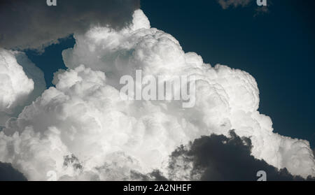 Cumulus clouds with well-defined texture and great contrast Stock Photo