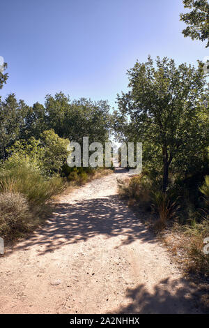 mountain dirt road for hiking surrounded by holm oaks. for trecking Stock Photo