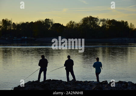 The silhouettes of three anglers by the river Rhine at sunset in autumn. Rhein-Neckar-Kreis, Baden-Wuerttemberg, Germany. Stock Photo