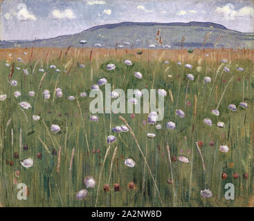 Meadow piece, around 1901, oil on canvas, 38.2 x 46.3 cm, signed lower right: F. Hodler., Ferdinand Hodler, Bern 1853–1918 Genf Stock Photo