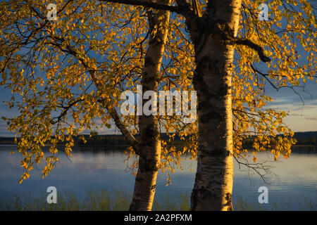 Autumn  colours in Muonio, Lapland, Finland Stock Photo