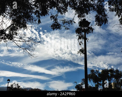 cool, unusual clouds with white clouds, partly blurred and in the optics of an Auarelle, in the picture above in black the silhouette of a tree branch Stock Photo