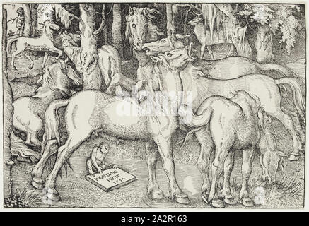 Hans Baldung Grien, German, 1484-1545, Group of Seven Horses, 1534, woodcut printed in black ink on laid paper, Image: 8 5/8 × 12 7/8 inches (21.9 × 32.7 cm Stock Photo