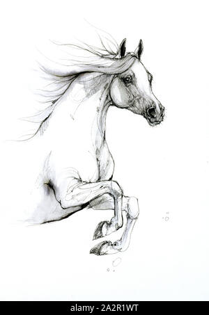 Girl with horse sketch by Duha-art on DeviantArt