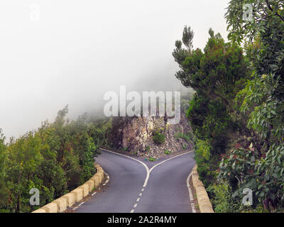 Highway on teneriffa in Anaga mountains, surrounded by dense laurel forest divides around a rock. Above, low hanging wet and white Passat clouds. Stock Photo