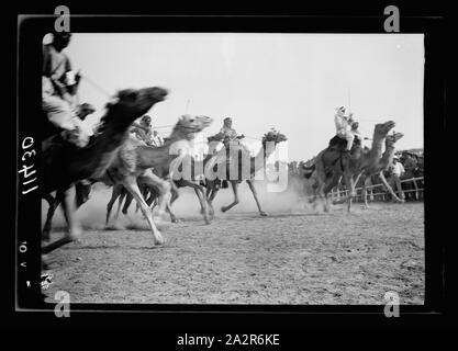 Race meeting (horse & camel). Beersheba. A camel race in full stride Stock Photo