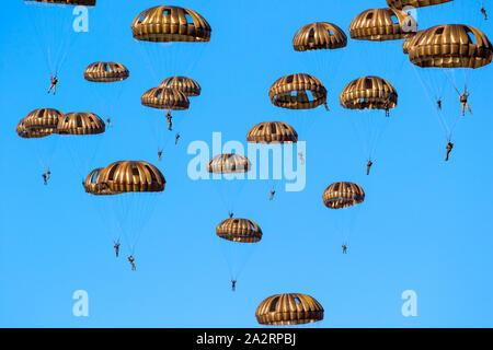 EDE, NETHERLANDS - SEP 21, 2019: Group of military parachutist paratroopers in the sky during the Operation Market Garden memorial. Stock Photo