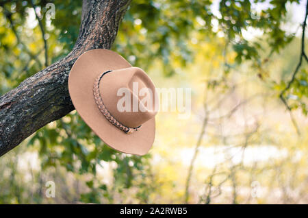 brown cowboy hat hung on the branch in the meadow retro effect Stock Photo