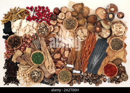 Traditional Chinese herbs used in herbal medicine with acupuncture needles on a bamboo mat and cream background. Stock Photo